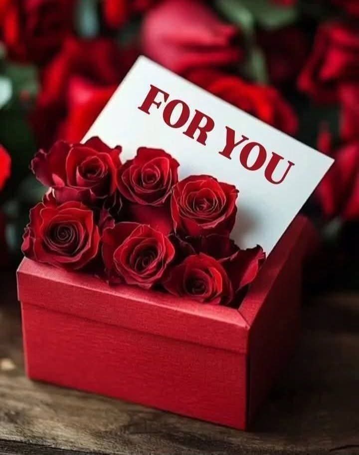 Rifat Meer tweet media