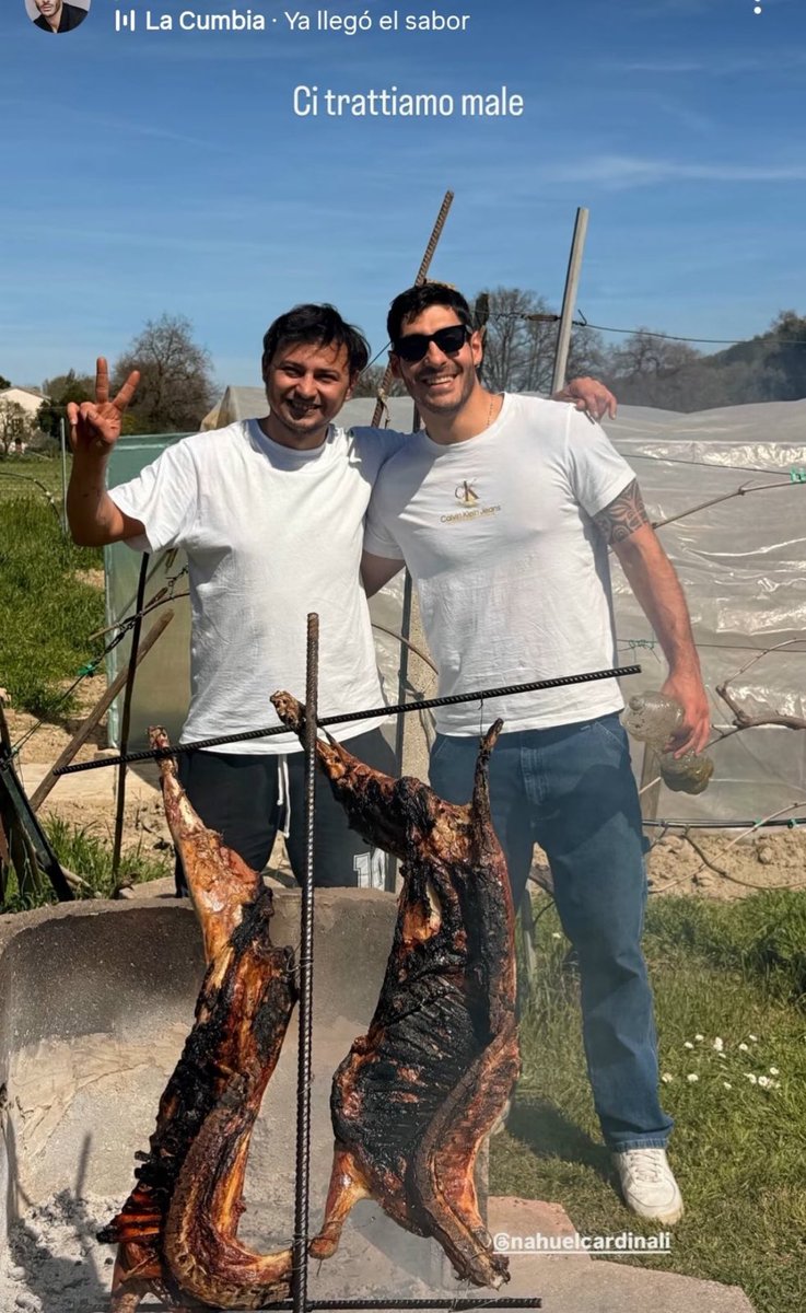 BeatrixKiddo tweet media