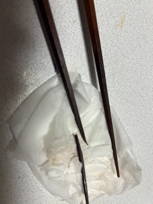 おーう…箸が… まぁ口に怪我がなかっただけ良かったと思うしかあるまい また箸探しに行かねばな