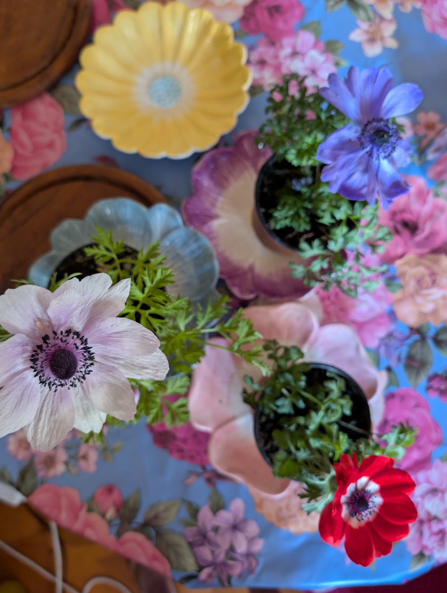 Anjuschka Prenzel tweet media