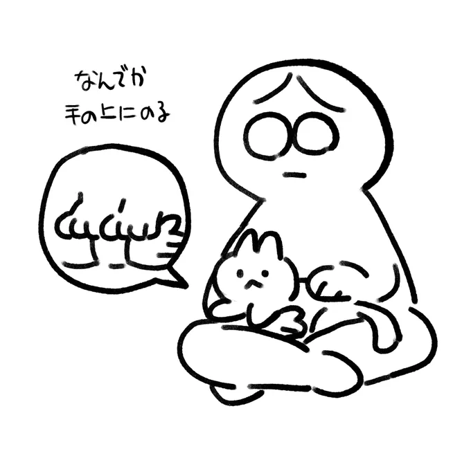 ウチの🐱 