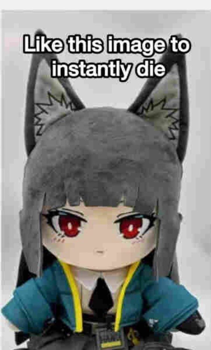 Buckweet 🦅 tweet media