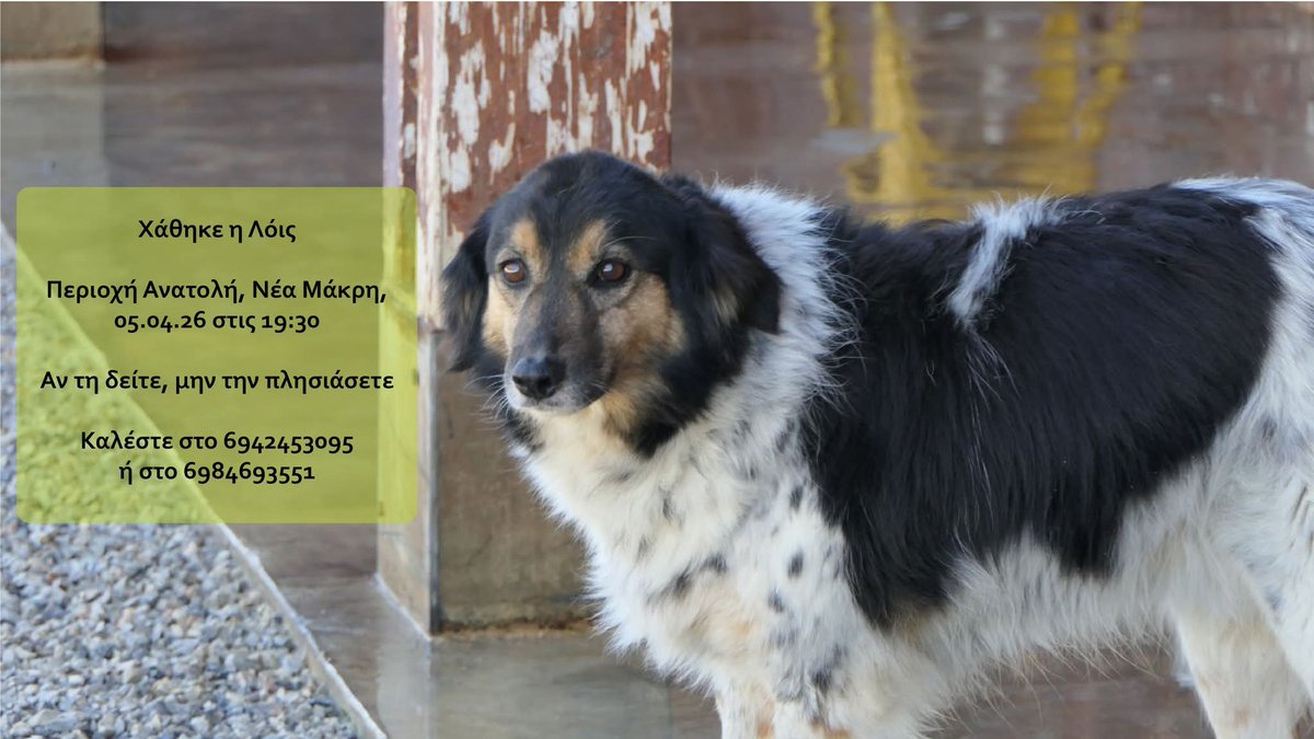 elina mpounia tweet media