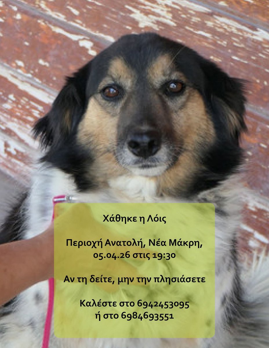 elina mpounia tweet media