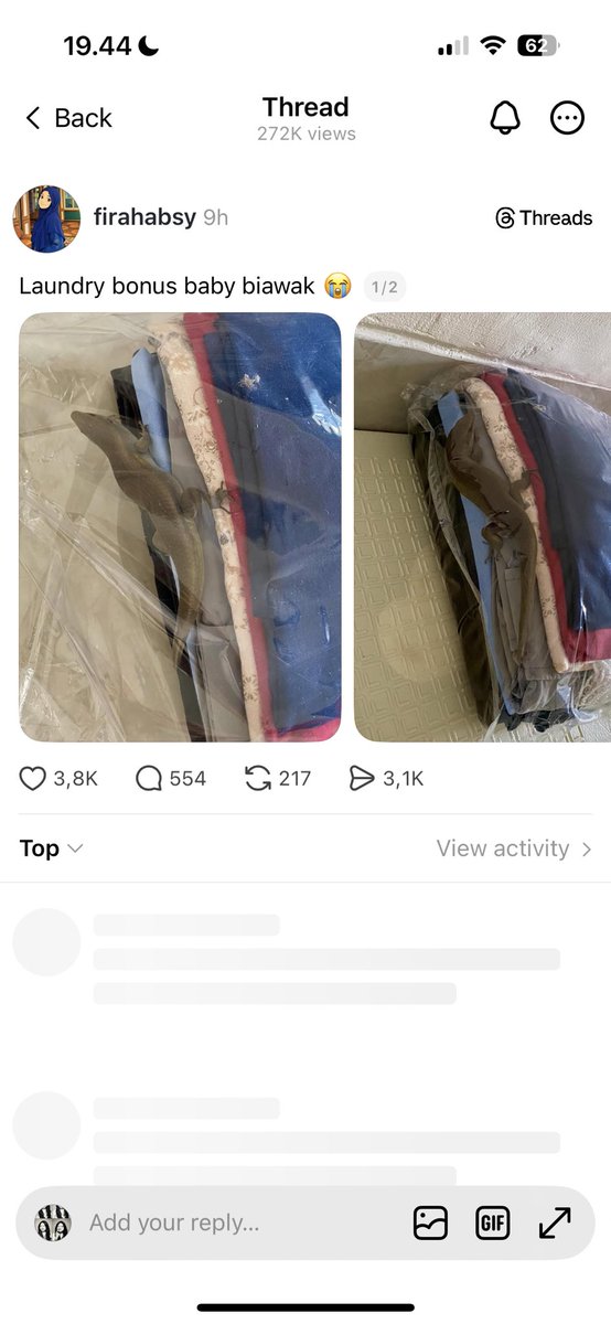 🍓⭐️ tweet media