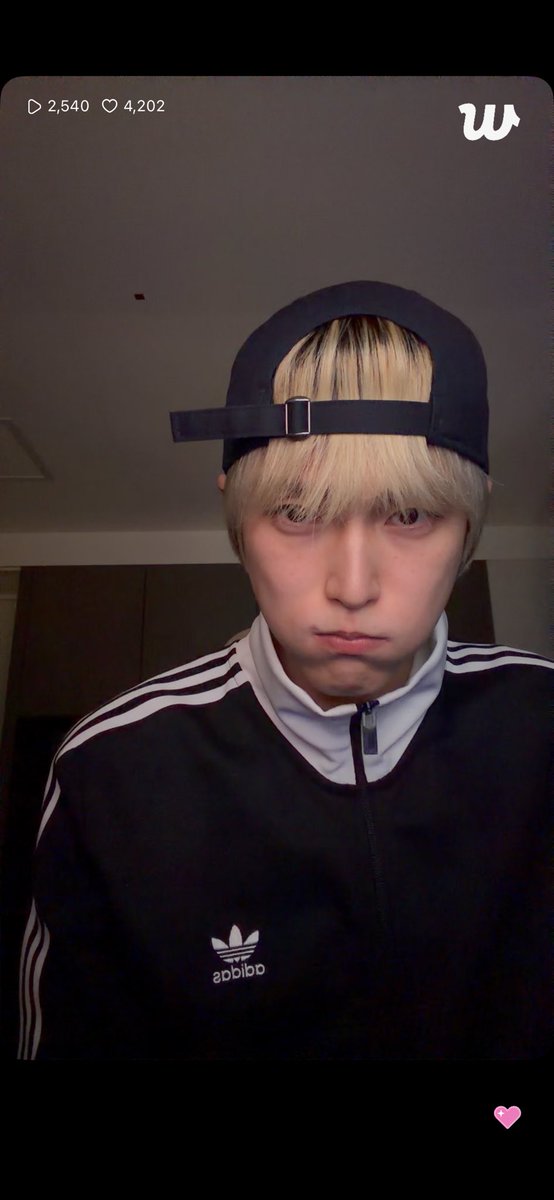 くろねこバブル tweet media