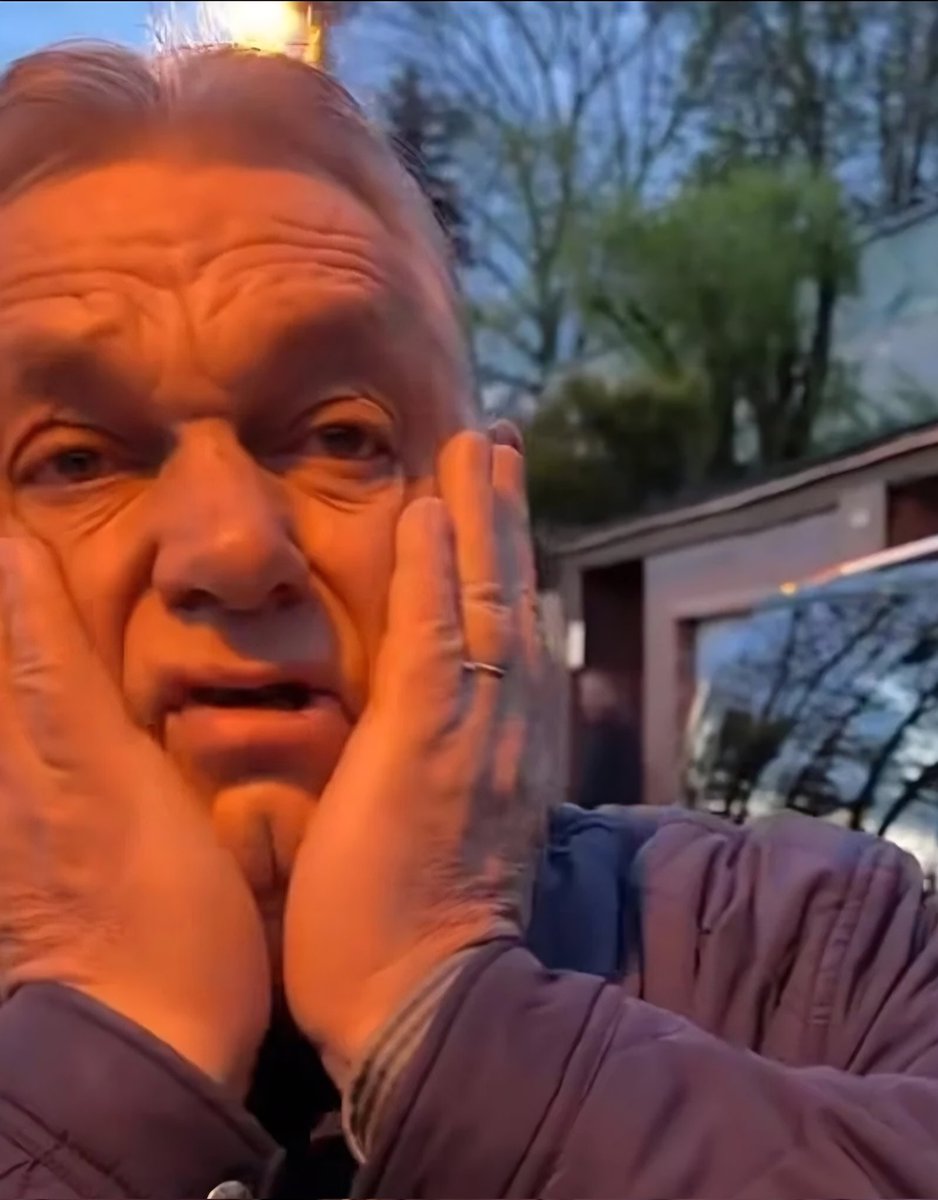 SzabadonMagyarul 🇬🇧🇭🇺🇺🇦🇪🇺 tweet media