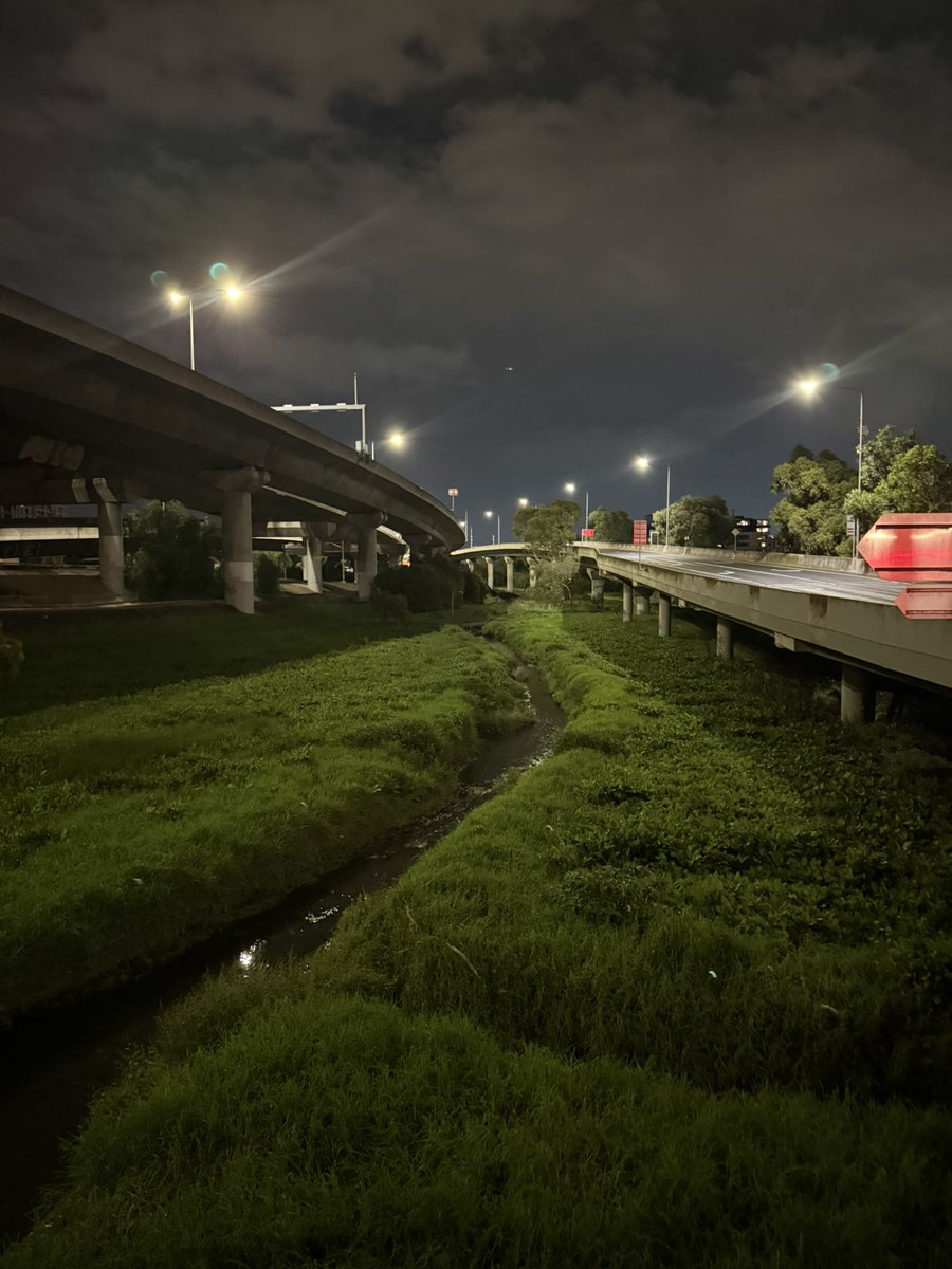 Absurdity tweet media