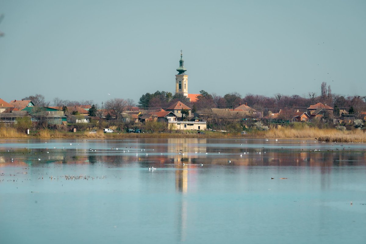 Dejan Kovacic tweet media