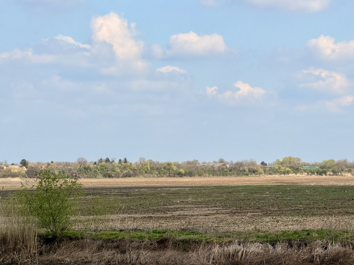 Dejan Kovacic tweet media