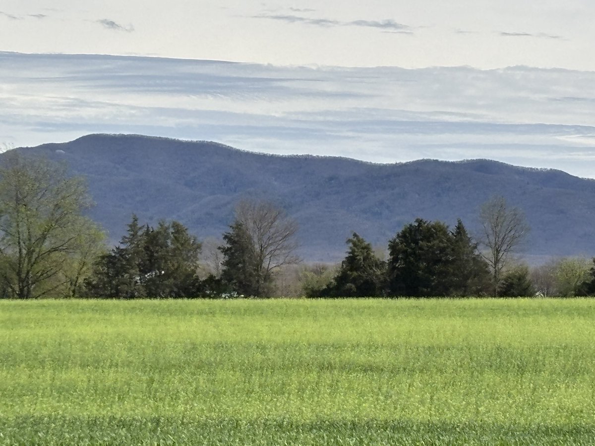 KHiggins_PI's tweet image. Love a mountain view ⛰️ #shenandoahvalley #portrepublicva @VisitVirginia