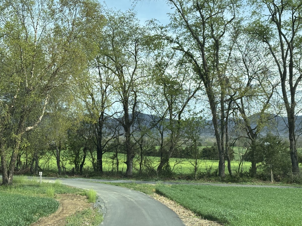 KHiggins_PI's tweet image. Love a mountain view ⛰️ #shenandoahvalley #portrepublicva @VisitVirginia