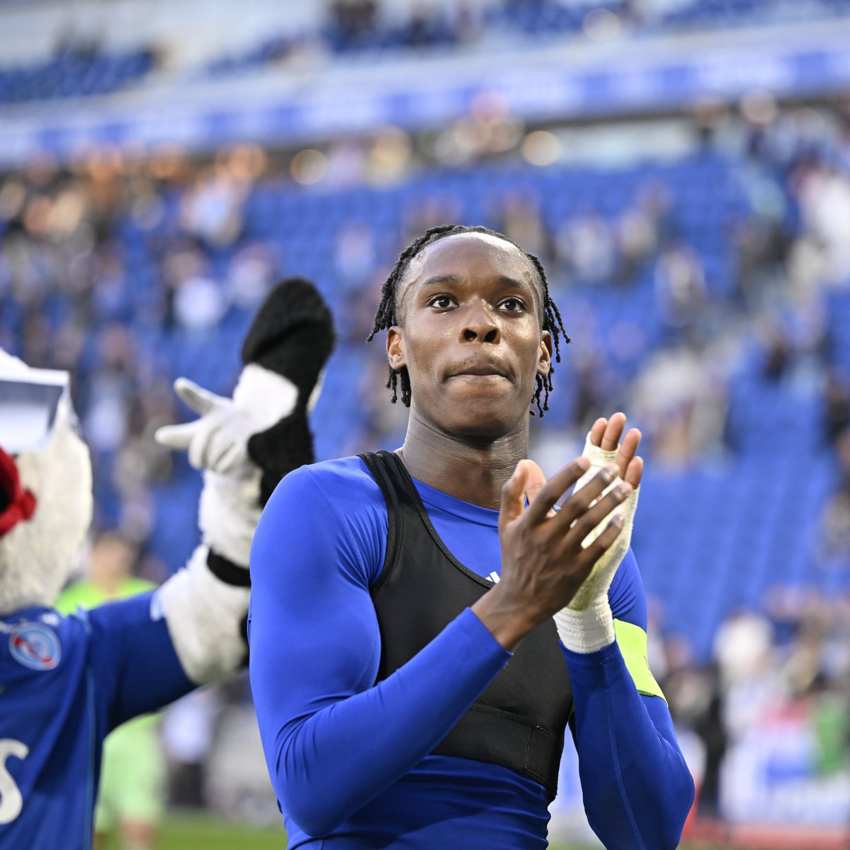 Racing Club de Strasbourg Alsace English tweet media