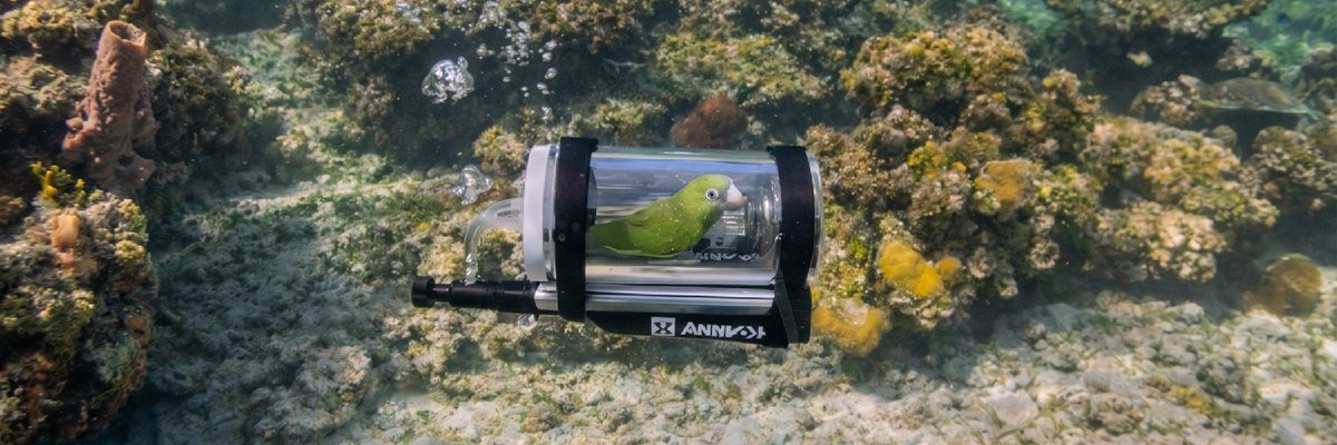 Lexapro™ 💉 🕳️ tweet media