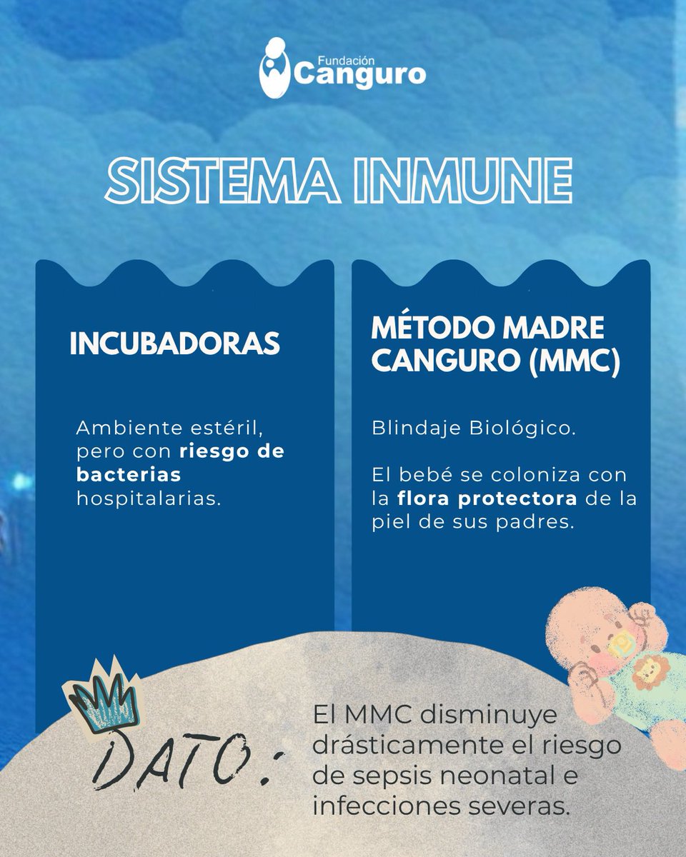 FundCanguro's tweet photo. ¿Sabías que el pecho de una madre puede funcionar mejor que la tecnología más avanzada?

Durante años, la incubadora ha sido el estándar de oro, pero la ciencia hoy es clara: para un bebé prematuro y/o de bajo peso al nacer, el Método Madre Canguro (MMC) es clave. 👇 https://t.co/pLsHeeFev2