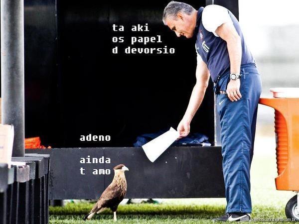 Nayara Perone tweet media