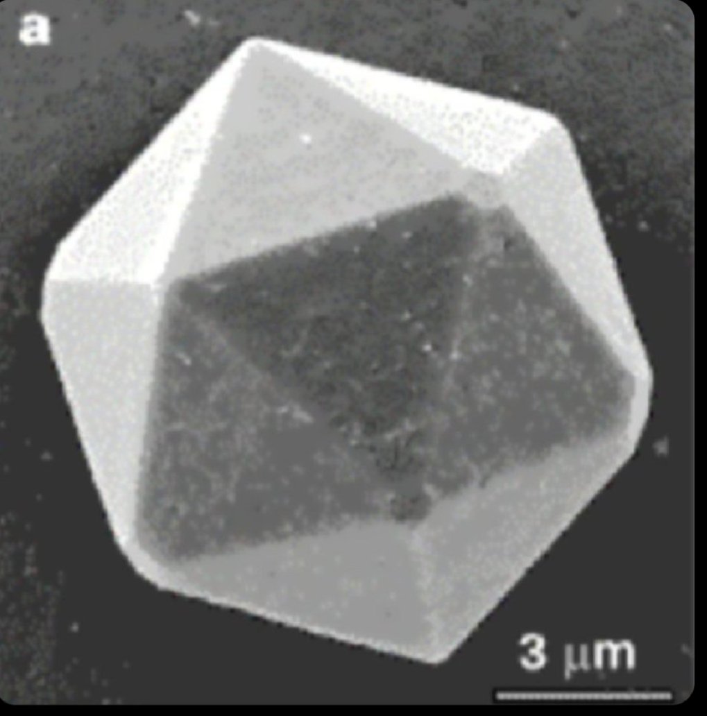 Plato's Stepchild tweet media