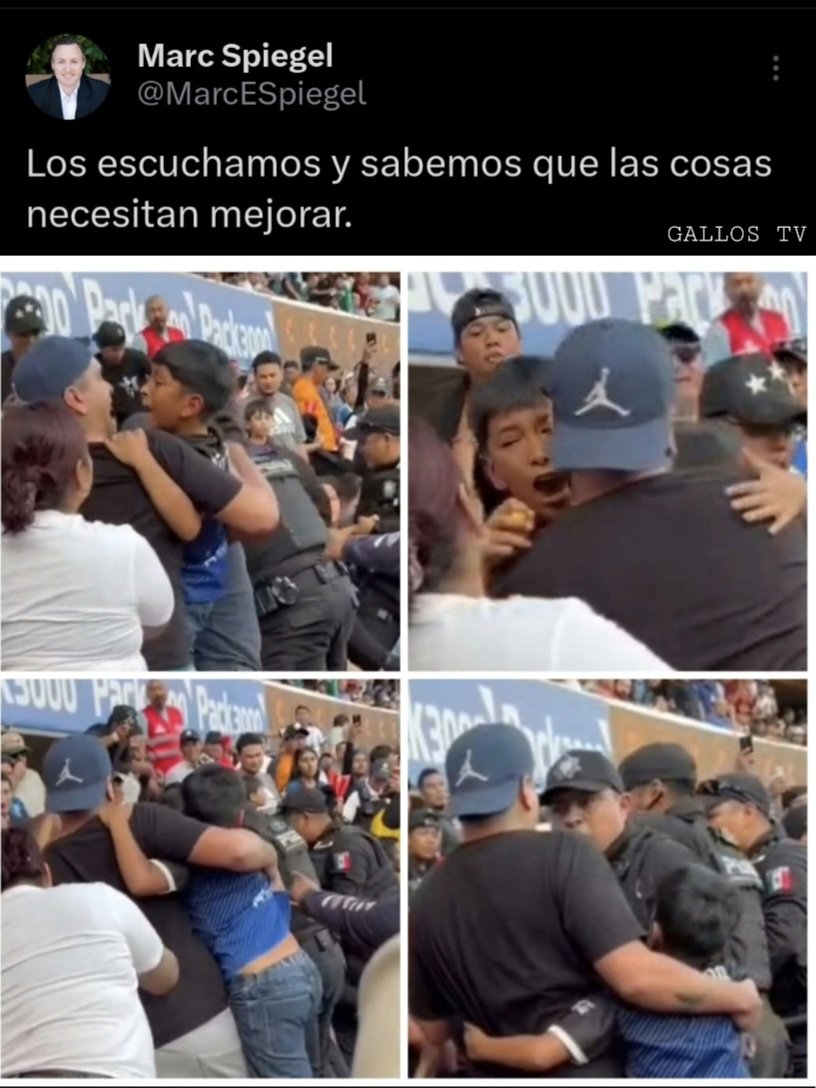 GallosTV tweet media