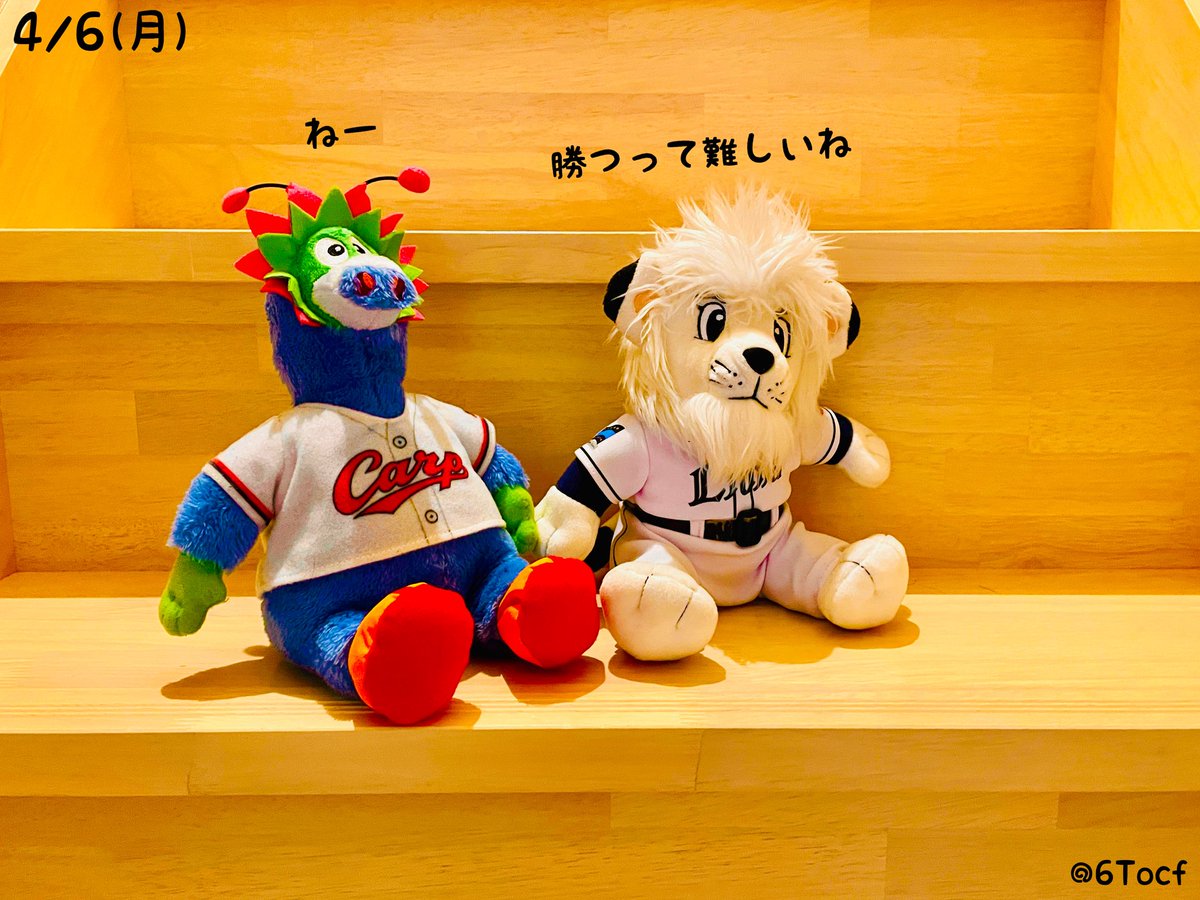 6Tocf's tweet photo. 4/6（月）休戦日

お休みなので

「今シーズンの私注目の若手選手」

これを教えてください(^^)
プレーでもヨシ！個人的贔屓入ってもヨシ！ビジュでもヨシ！なんでもOK♪( ´▽｀)

5年目までの選手で是非、教えて下さい(^^) https://t.co/gwP1eq7a2b