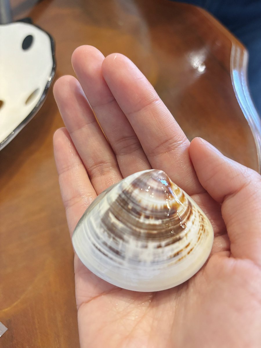 ลูกคนจีน tweet media