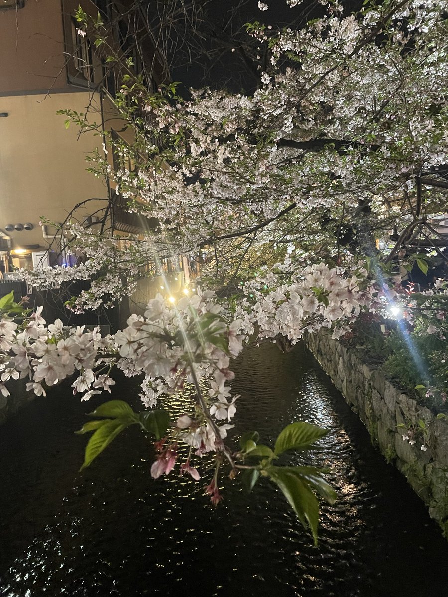 ᴛsᴜɢᴀʀᴜ🜸ぱりんぐうぇい tweet media