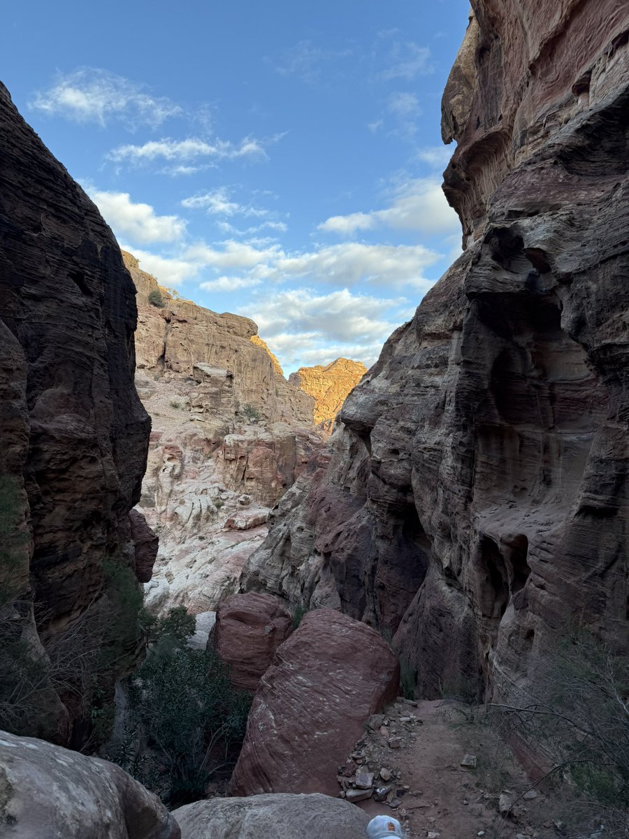 あや。 tweet media