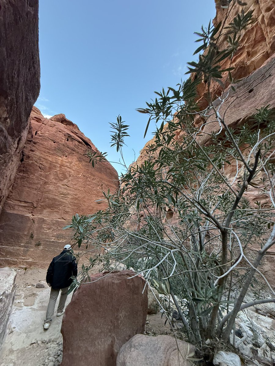 あや。 tweet media