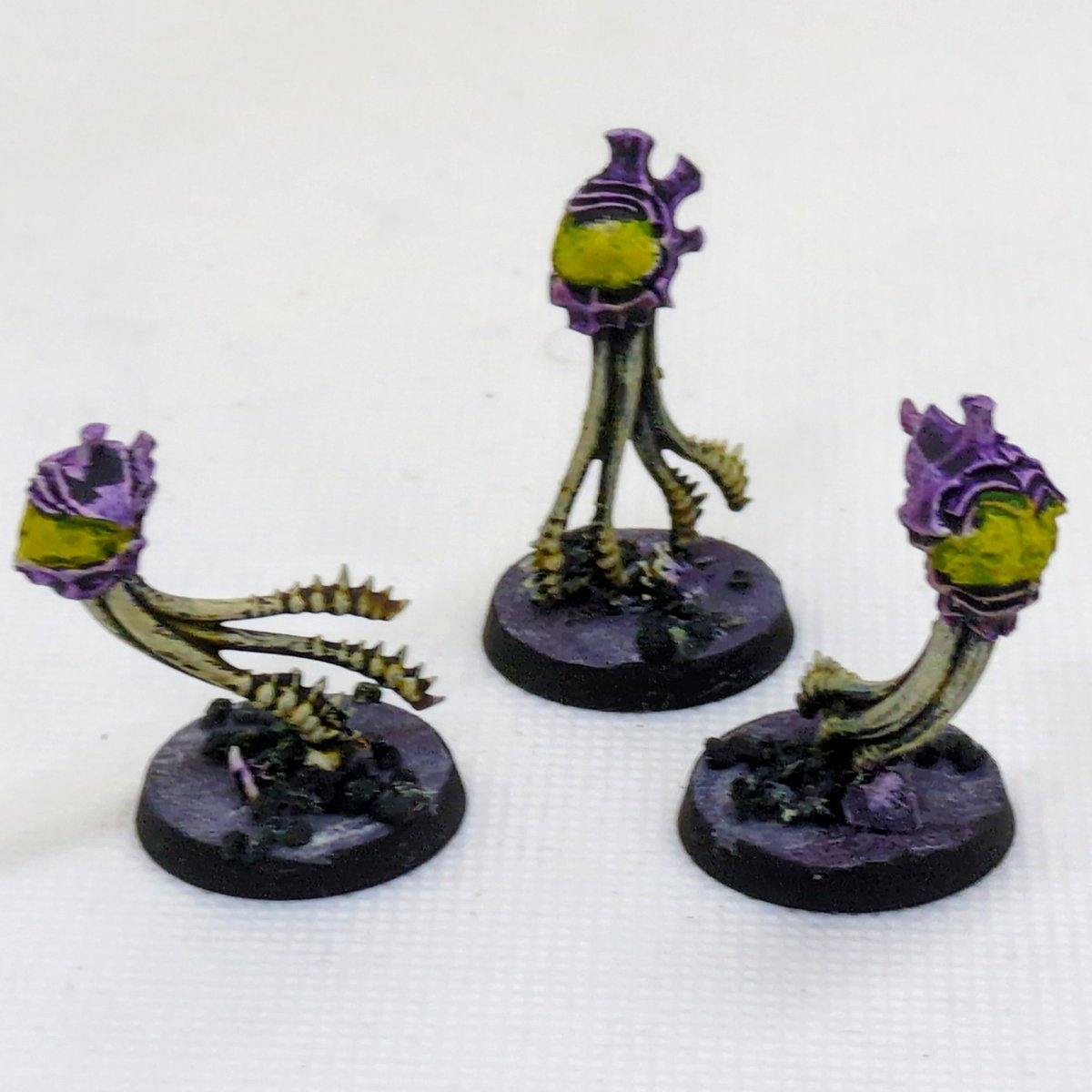 黒井弘騎 tweet media