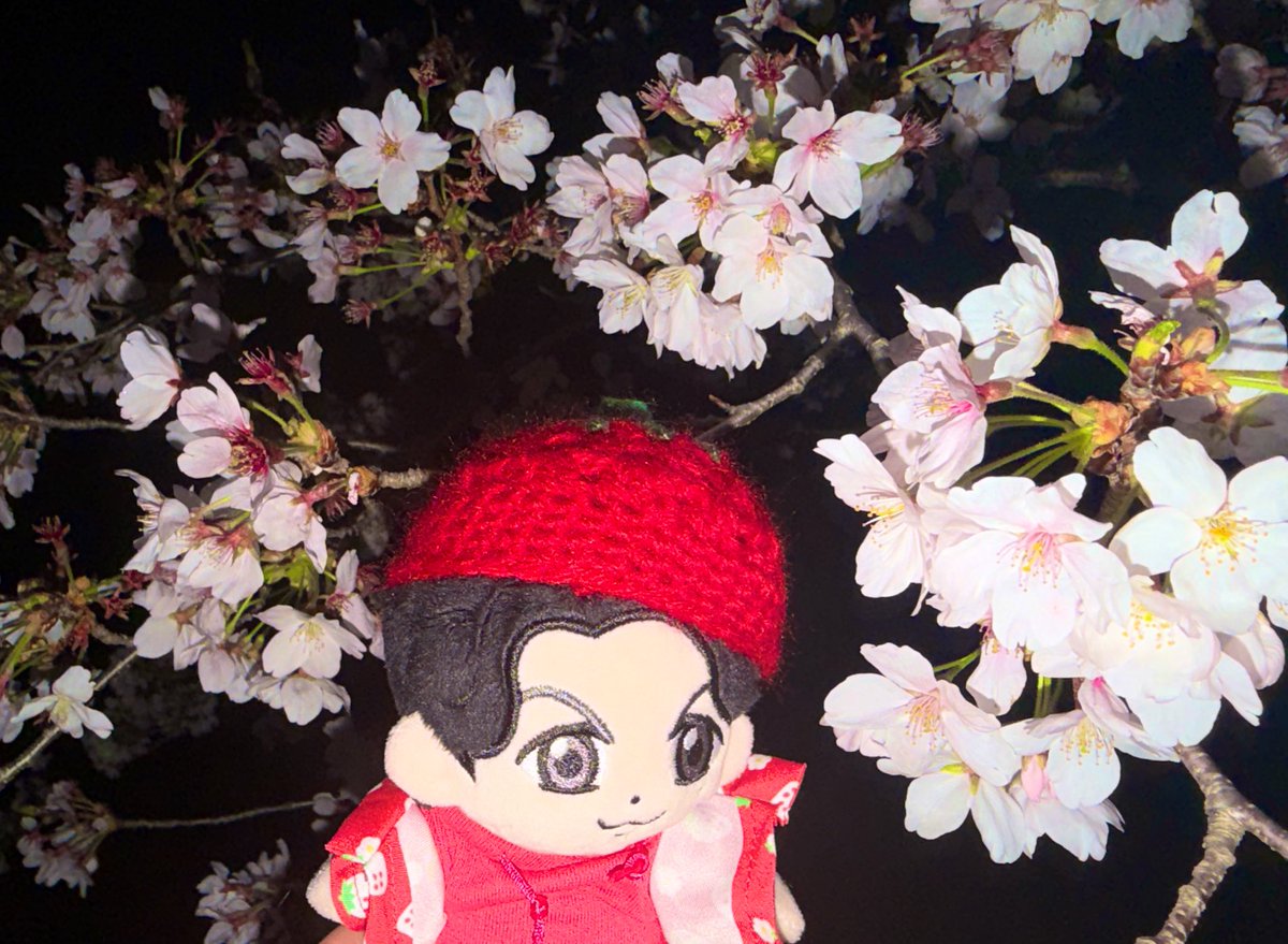 ひとみ🐬 tweet media