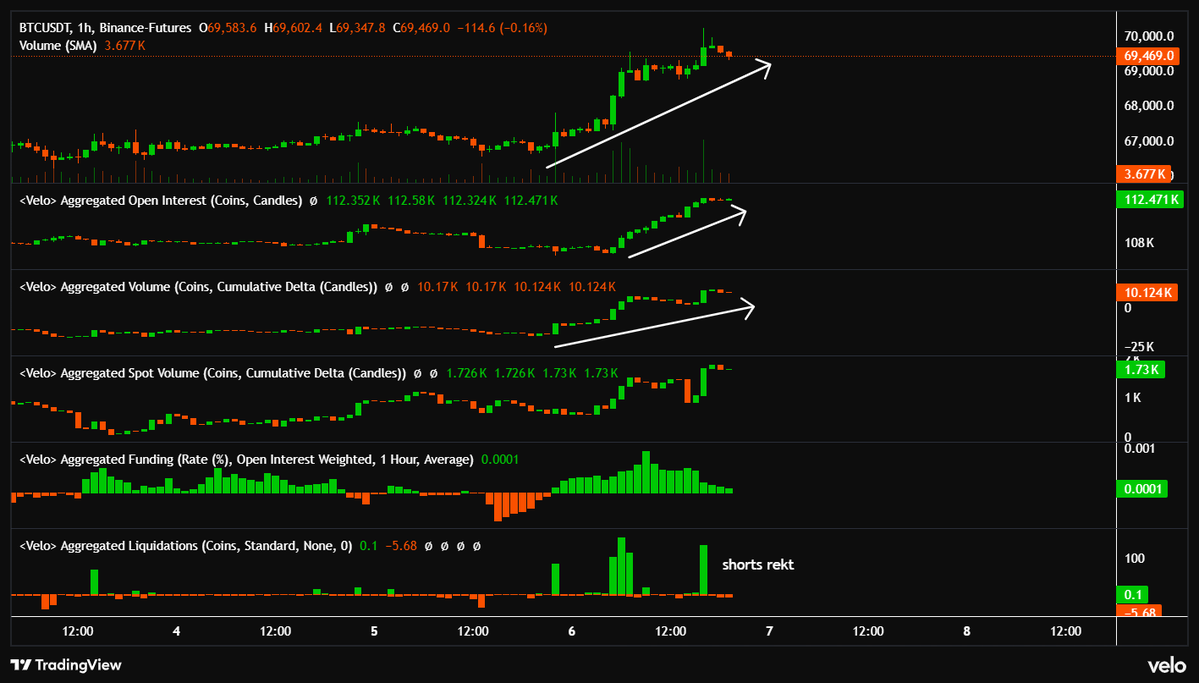 nichoxbt tweet media
