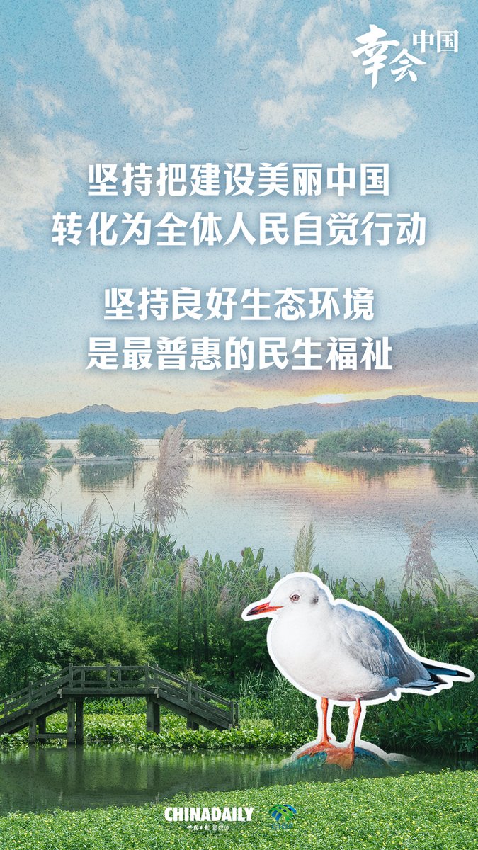 China Daily tweet media