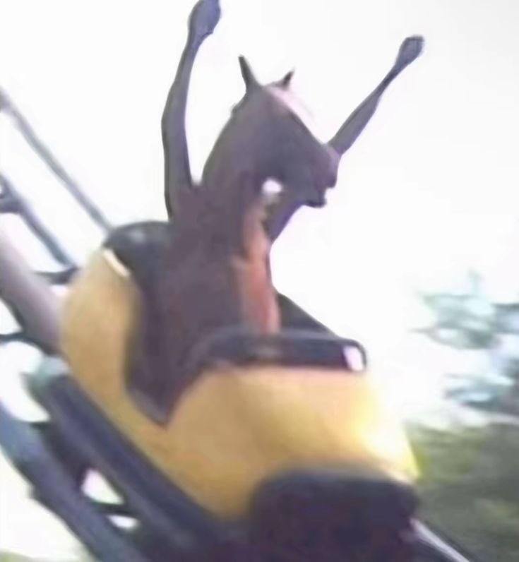 ブタキムチ tweet media