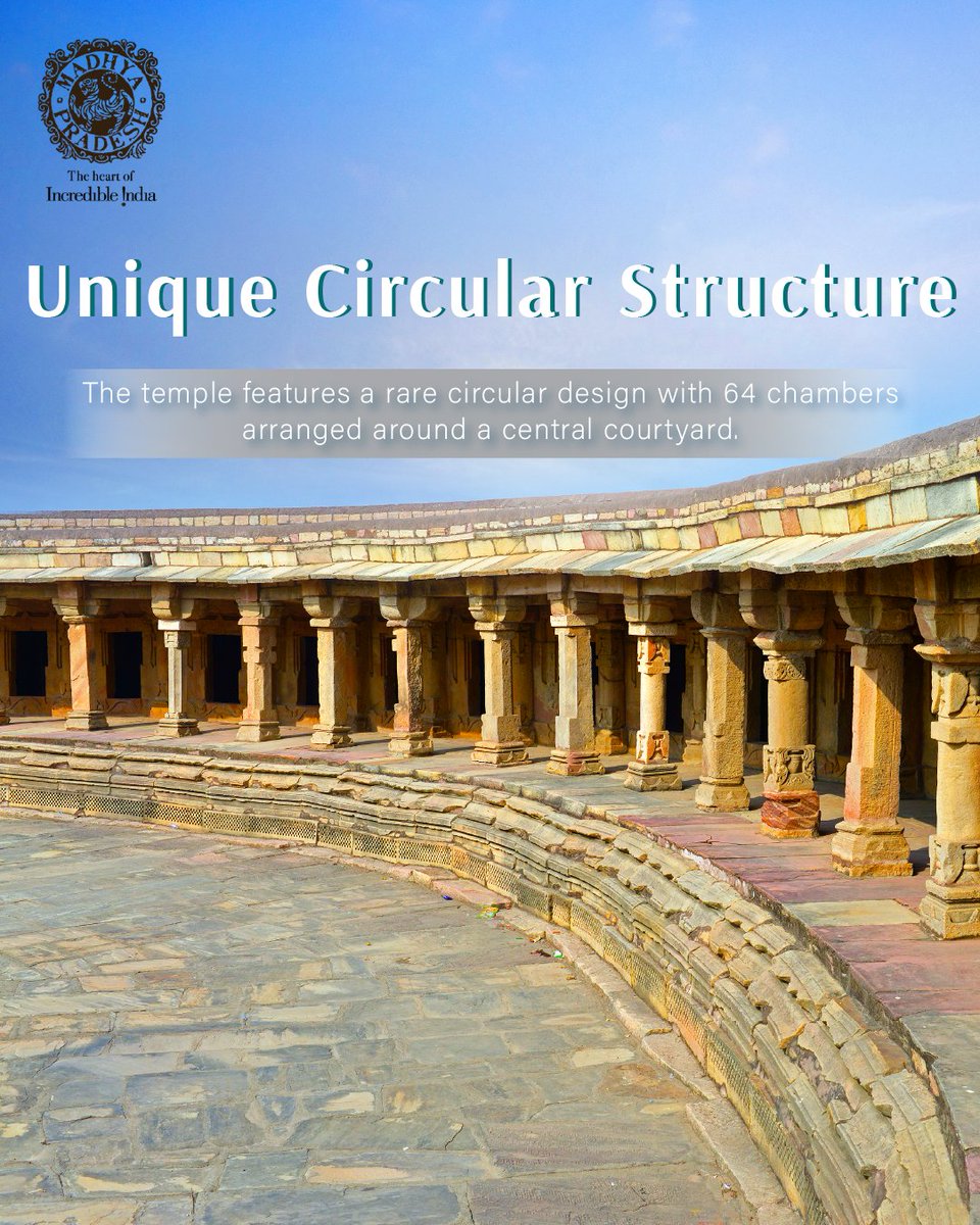 MP International Tourism tweet media