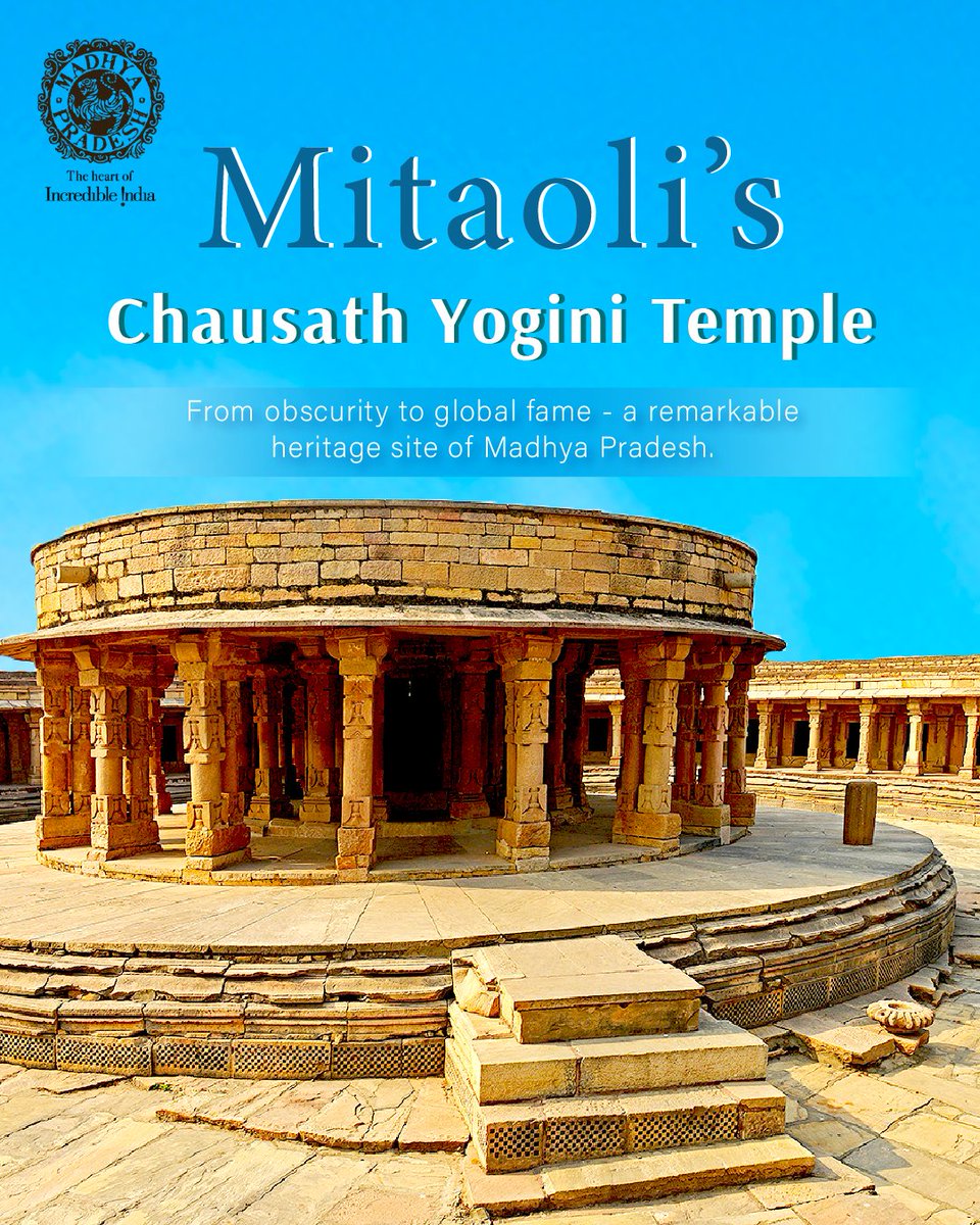 MP International Tourism tweet media