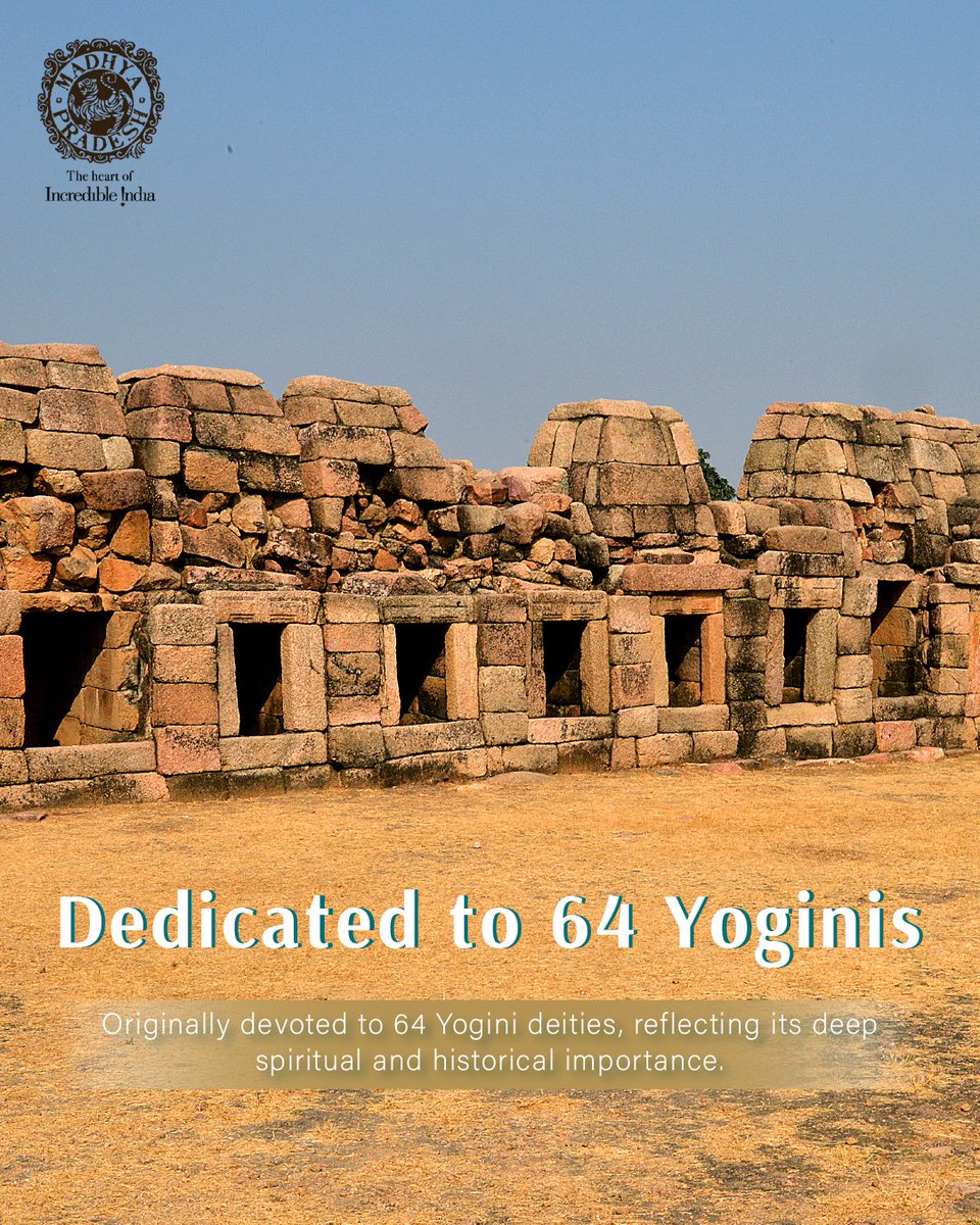 MP International Tourism tweet media