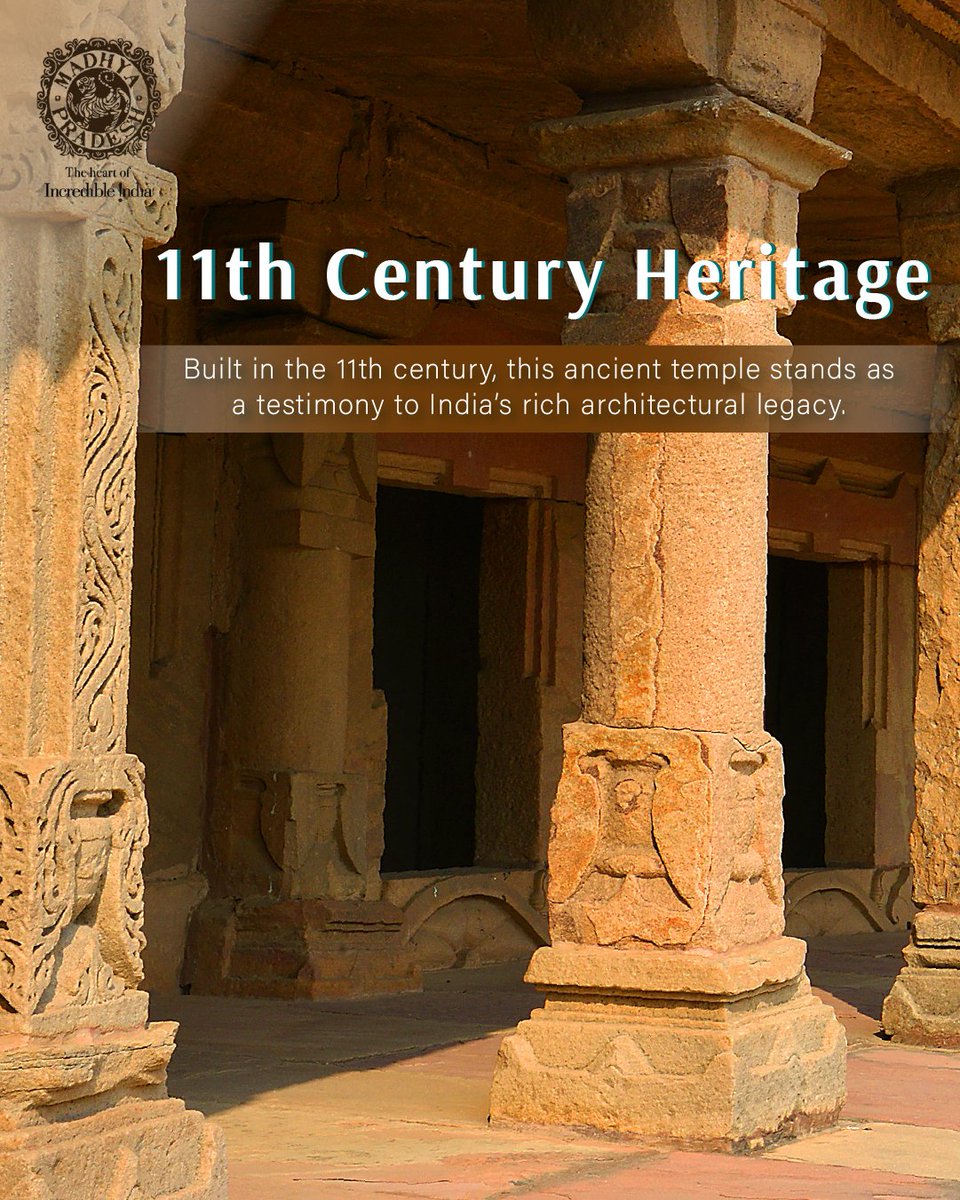 MP International Tourism tweet media