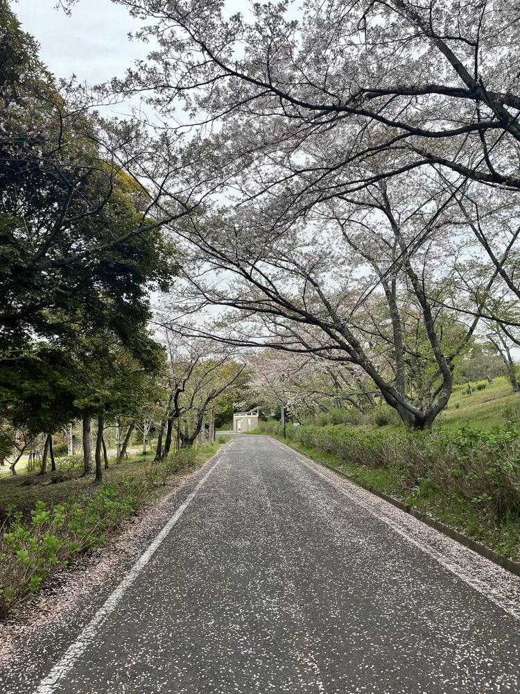 Rico キャリアコンサルタント×ライフコーチ tweet media