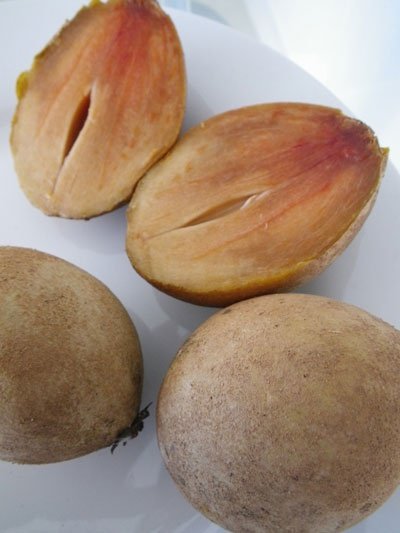 Williams tweet media