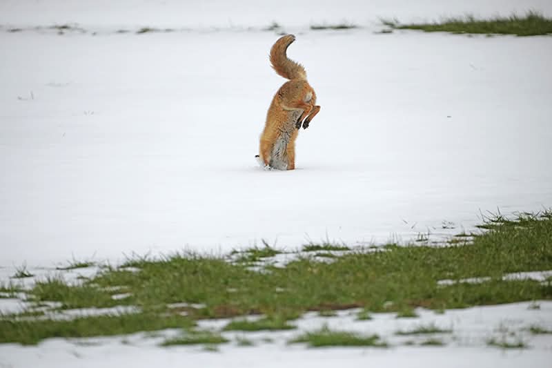 Ⓥ Thierry 😐 tweet media