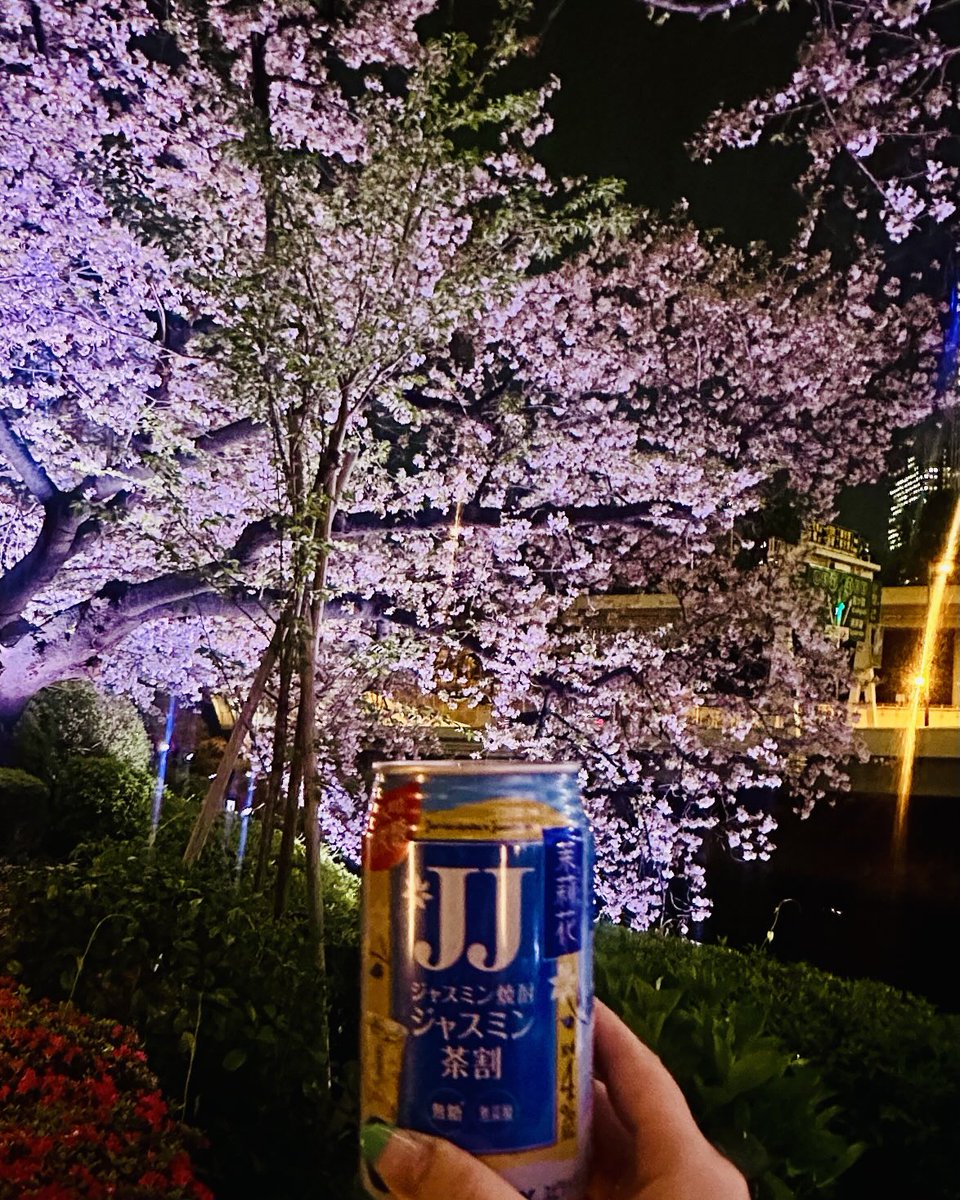 アヤミ🏴‍☠️ tweet media