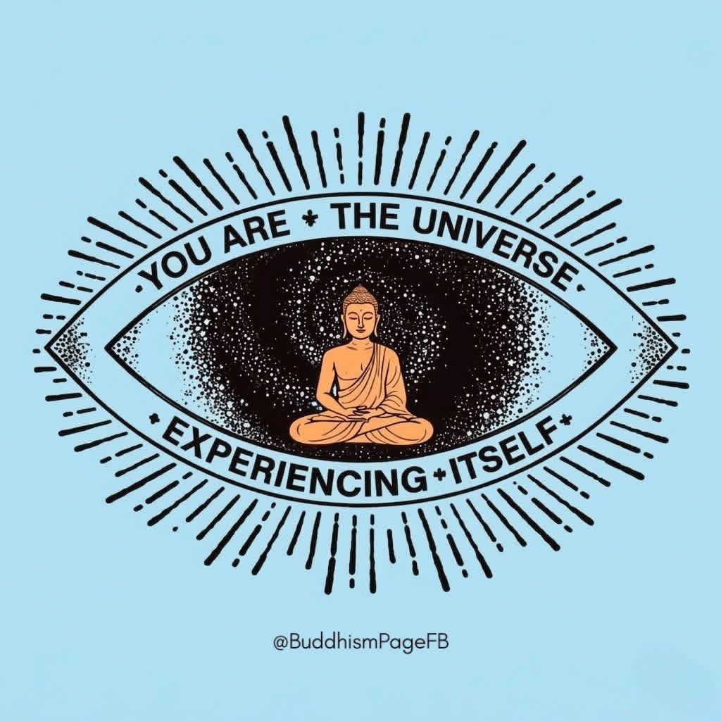 🧬Maxpein🧬 tweet media