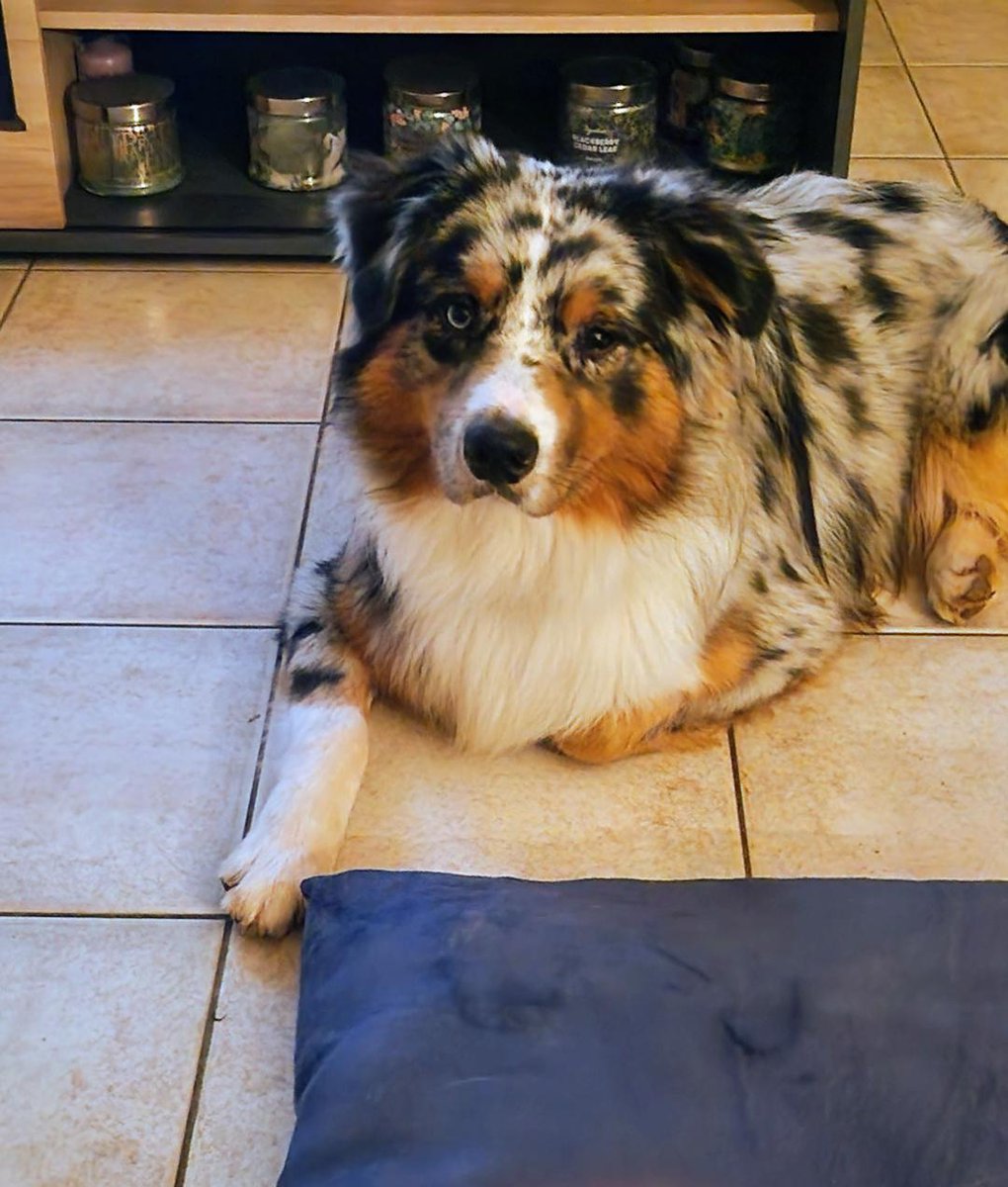 Sylvieduboss2 tweet media