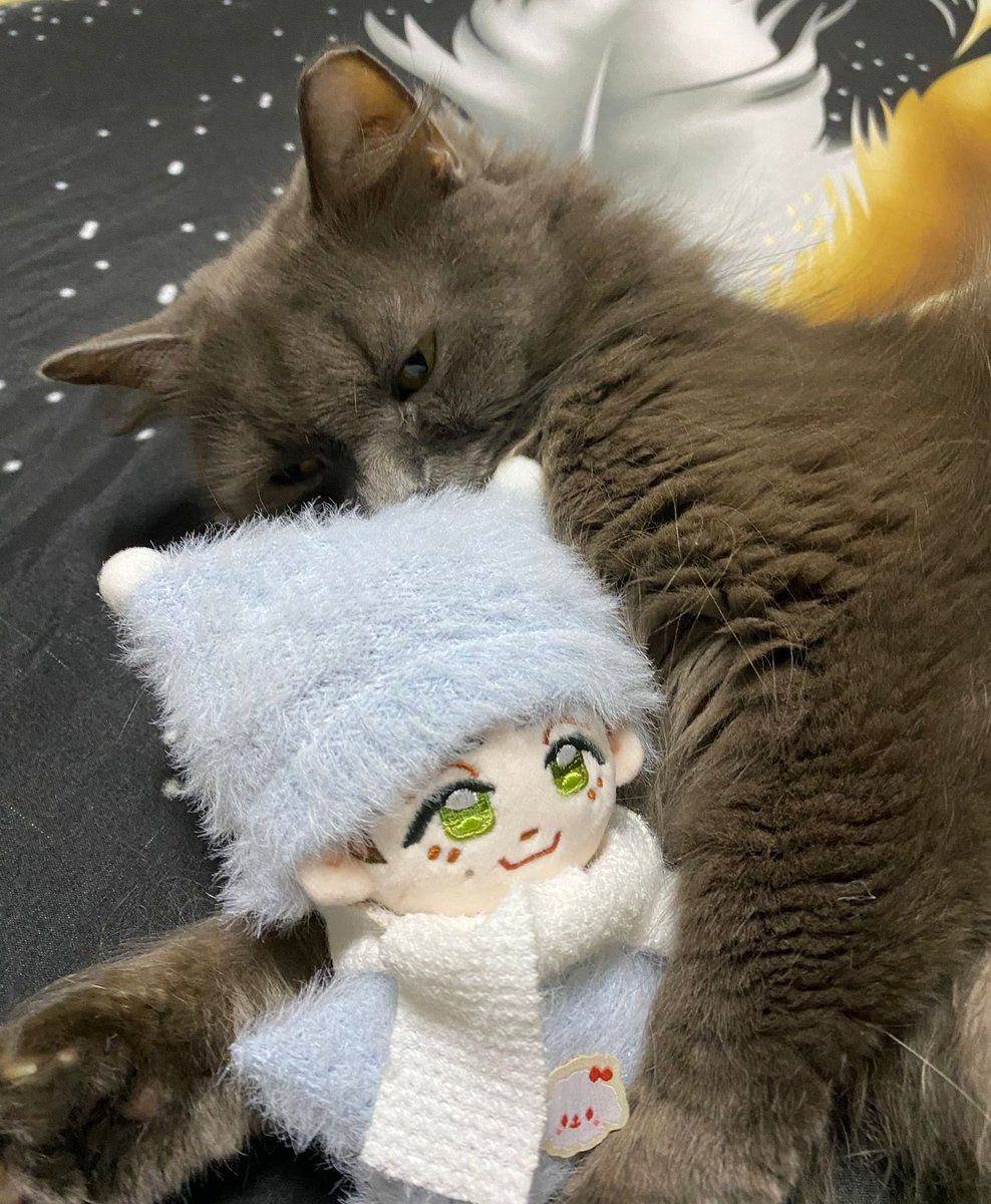 ୨୧ dina¹ ୨୧ tweet media