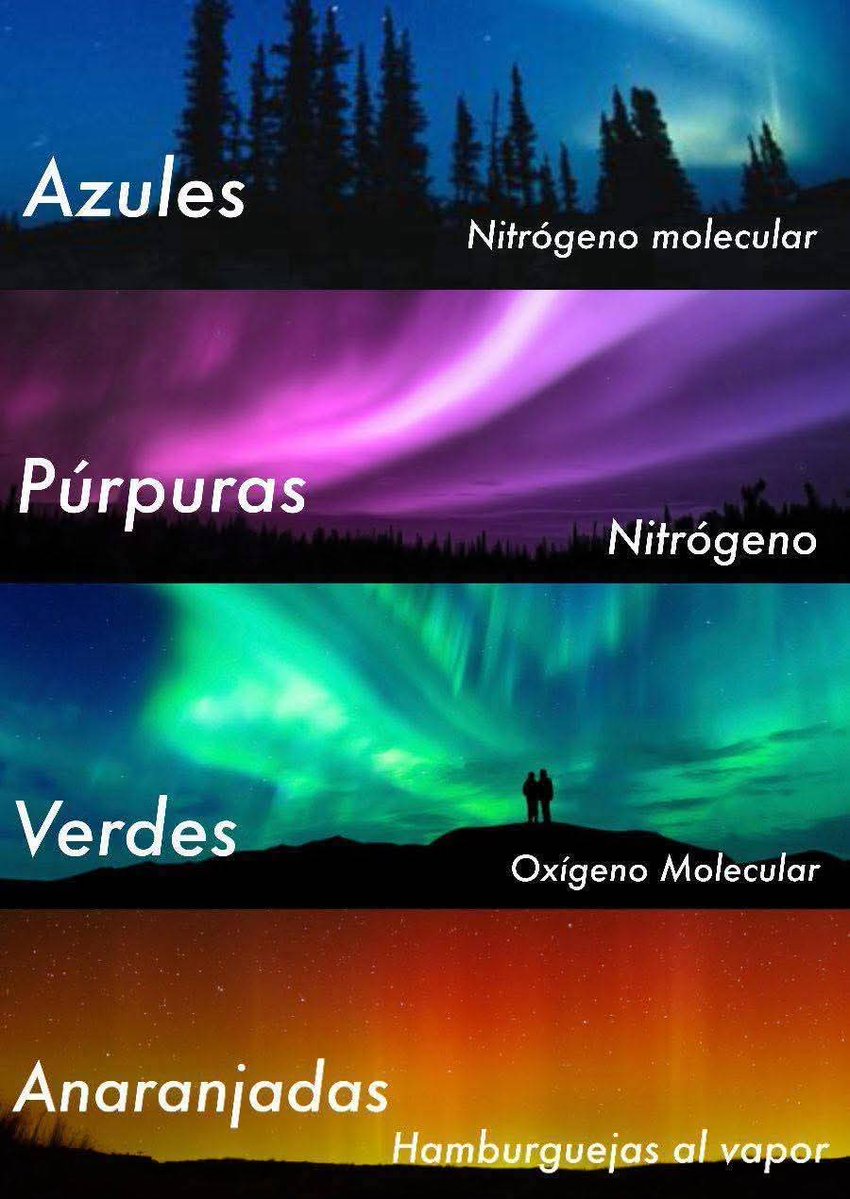 Los Fansons tweet media