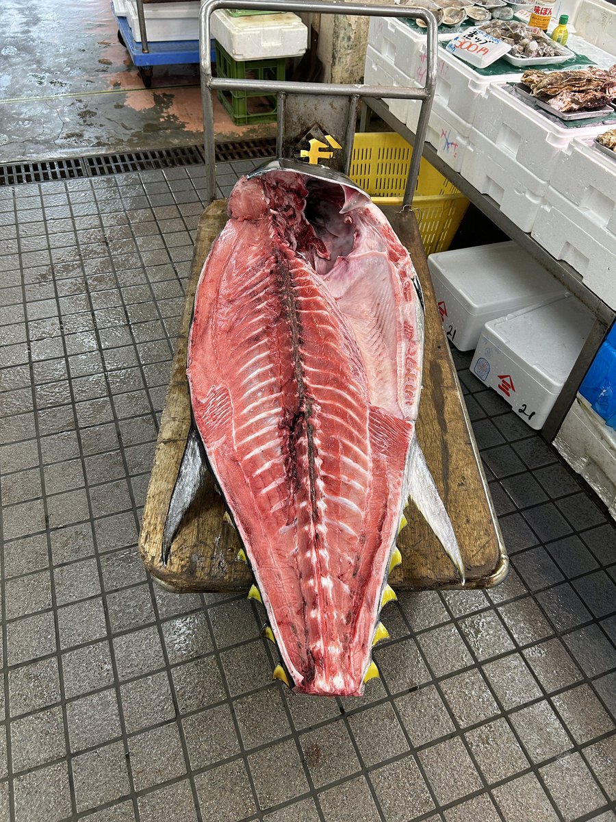 newbugnao's tweet photo. 2日目
お約束の八食センターへ開店と同時に突入。
控えめに言っても最高。
市場でBBQできるって考えた人、天才だわ
案の定、駐車場は山形ナンバーだらけ。
#montedio
#山形サポ八戸遠征 https://t.co/nlcC5cTDuB