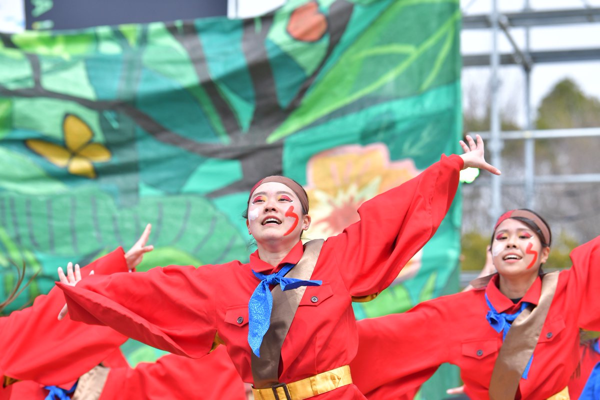 てりー★よさこい写真専用垢 tweet media