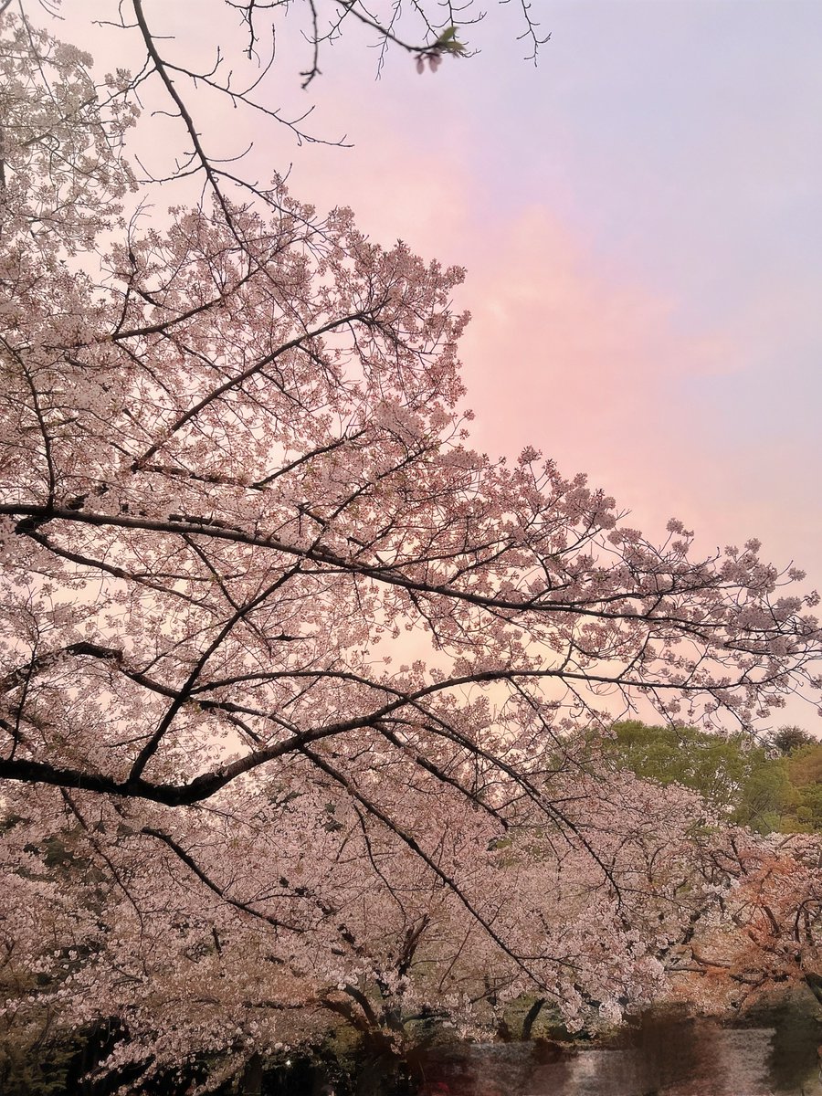 宇月ゆな tweet media