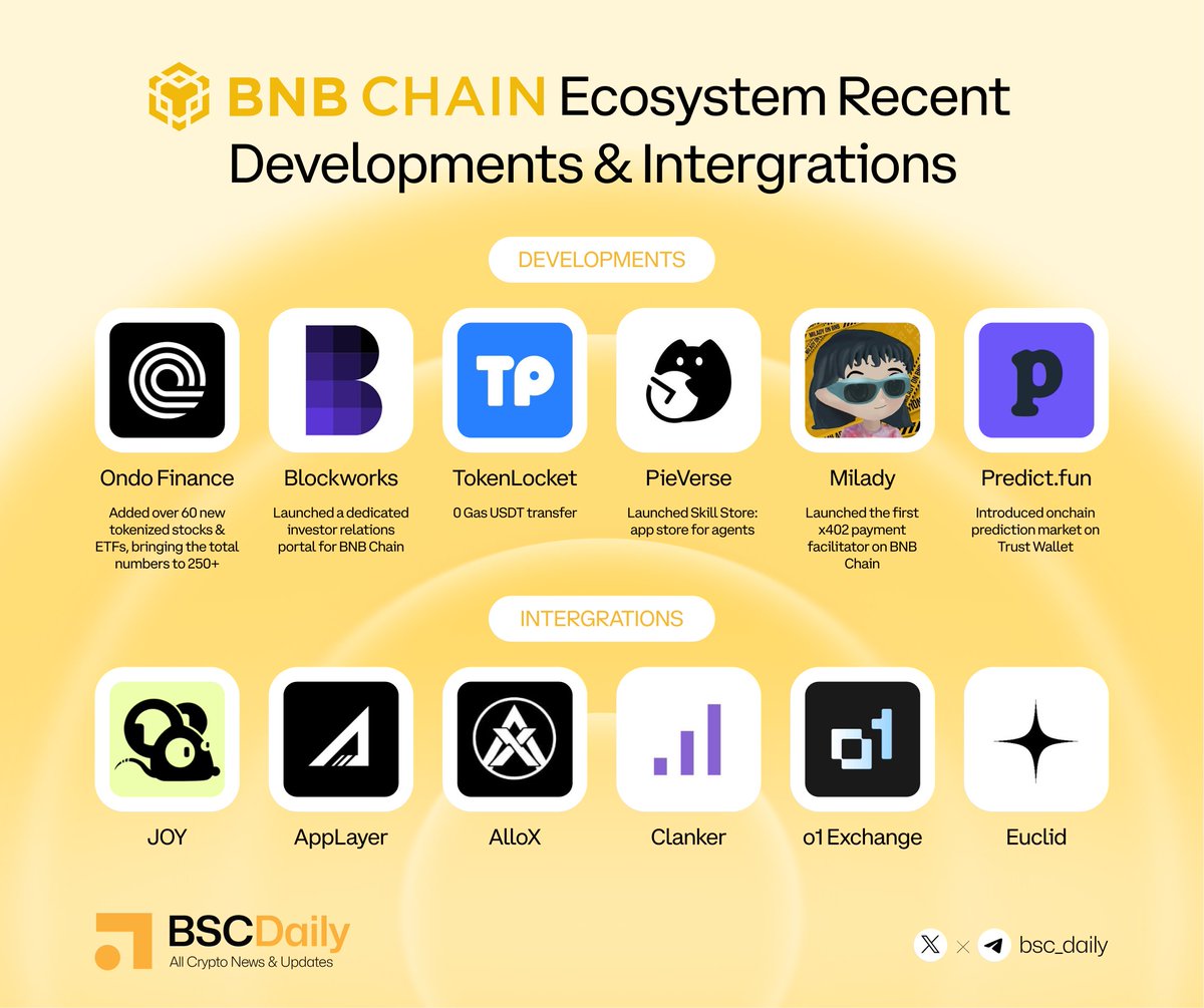 BSCDaily tweet media