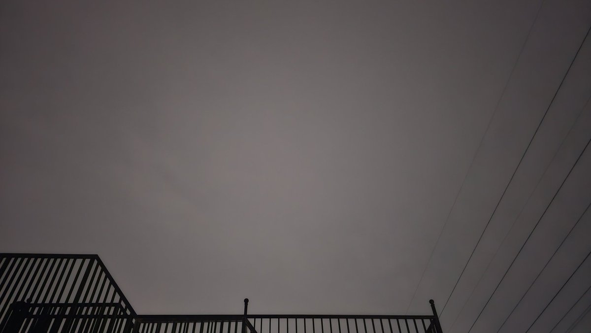 tanipon🌴 tweet media