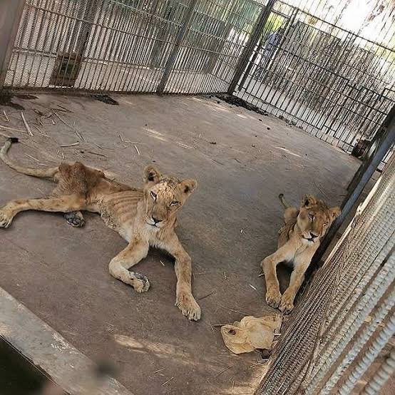 FitnessCustodian🏋️‍♂️ tweet media